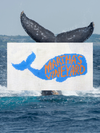 Martha's Vineyard Whale