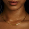 Rafaella Chain Choker Necklace