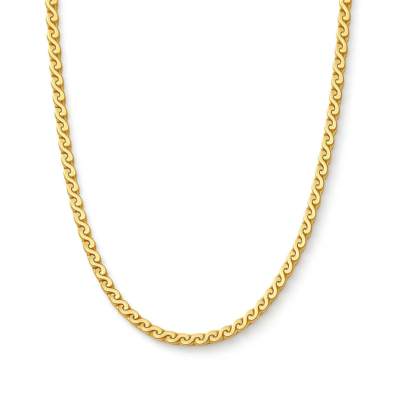 Rafaella Chain Choker Necklace