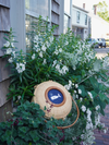 Round Needlepoint Nantucket Lightship Basket™