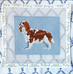 King Charles Spaniel