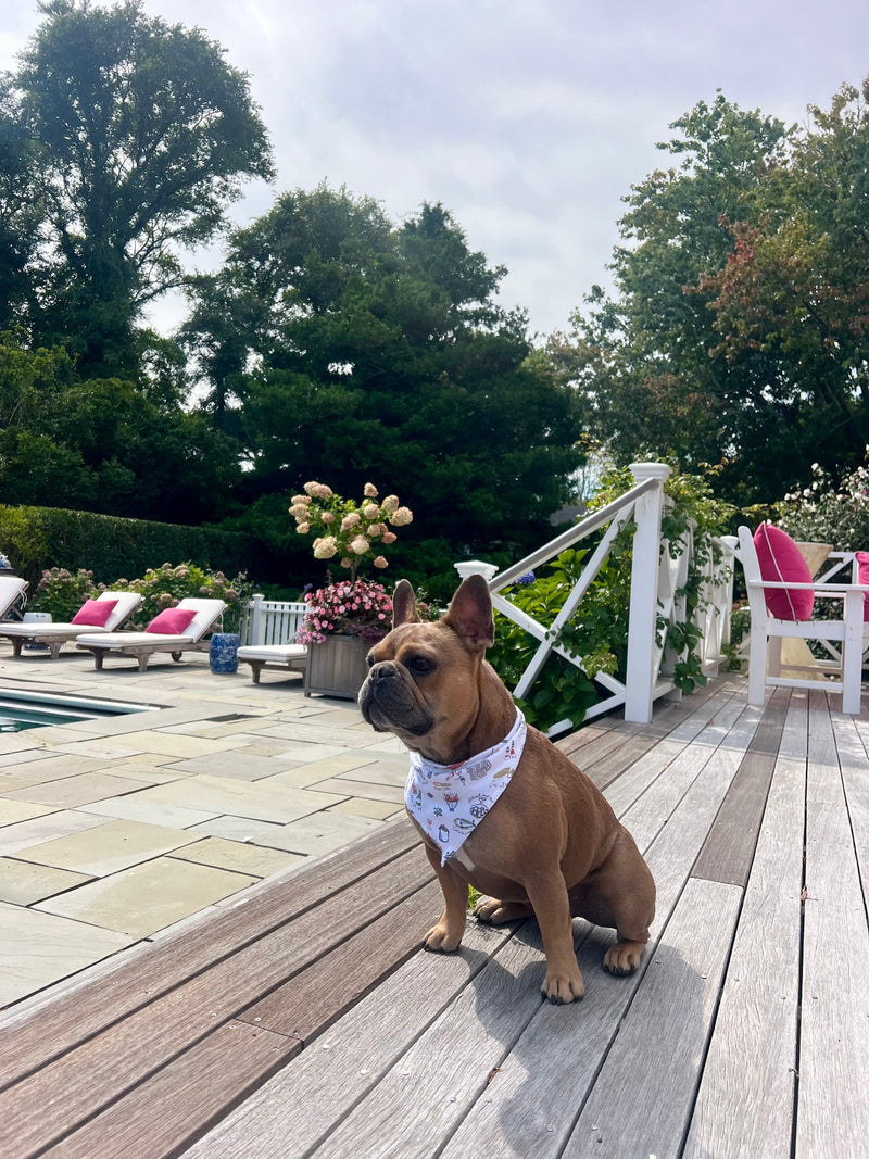 Multicolor Clambake Bandana