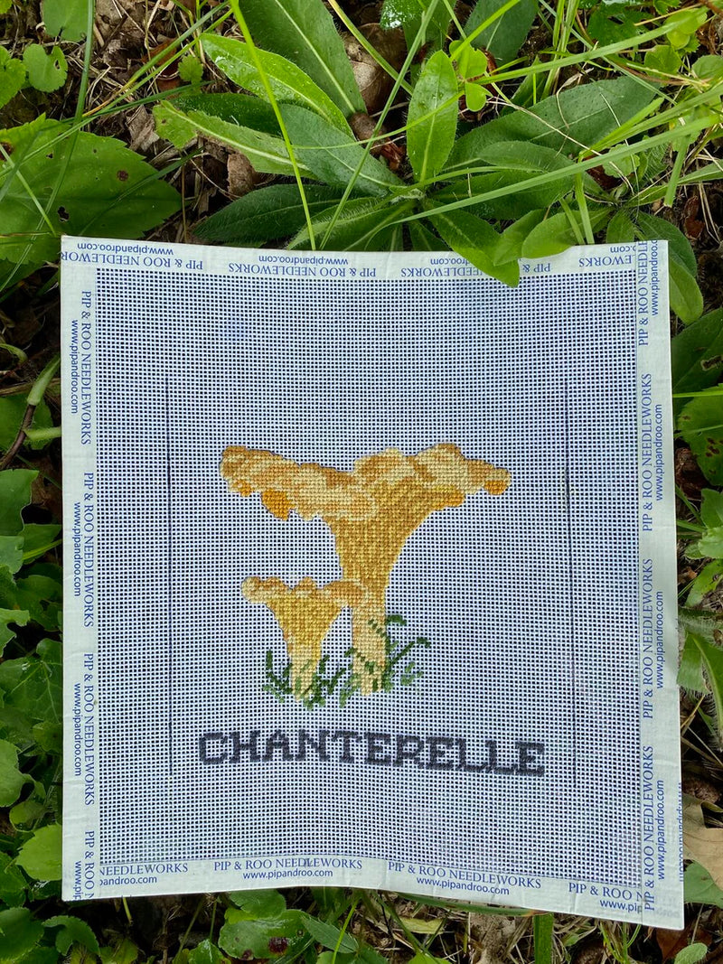 Chanterelle Mushroom