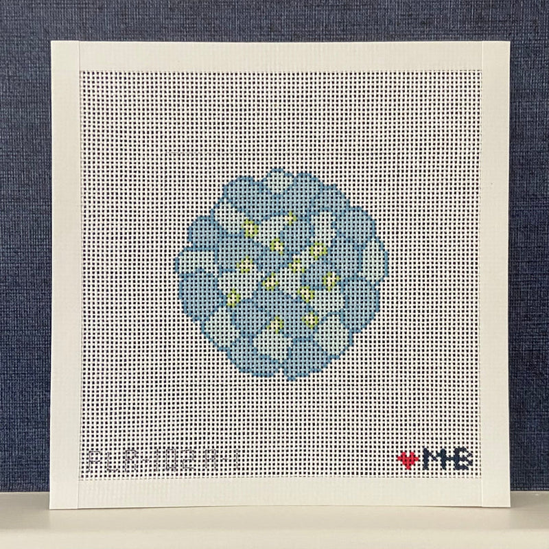Hydrangea Blue 4x4
