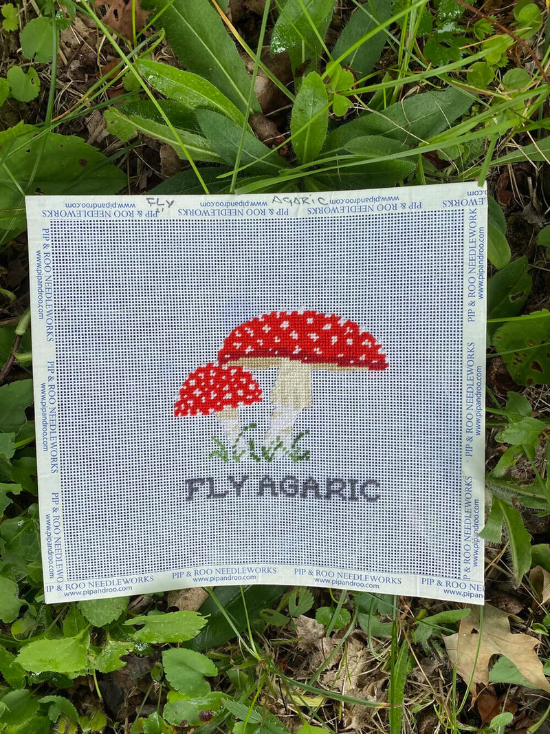 Fly Agaric Mushroom