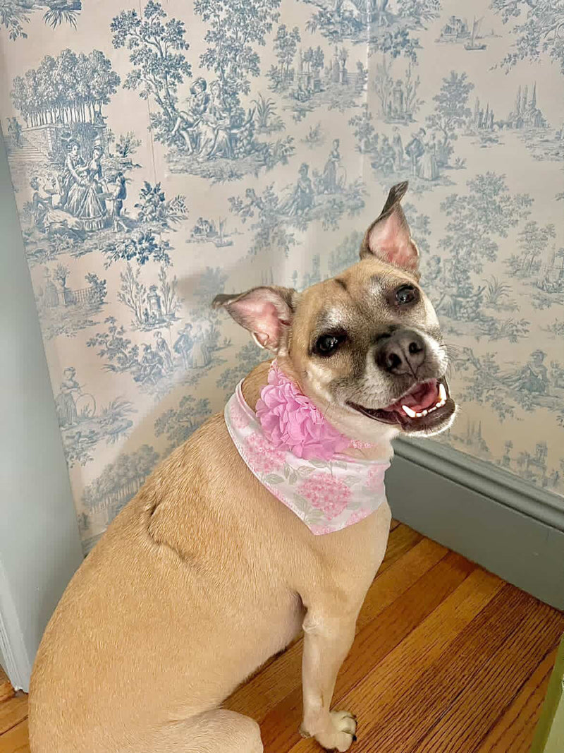 Endless Summer Pet Bandana