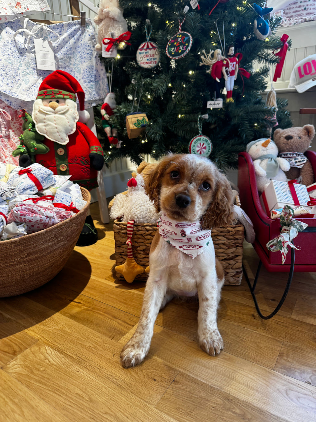 Pet Bandana Tuck'd In Holiday