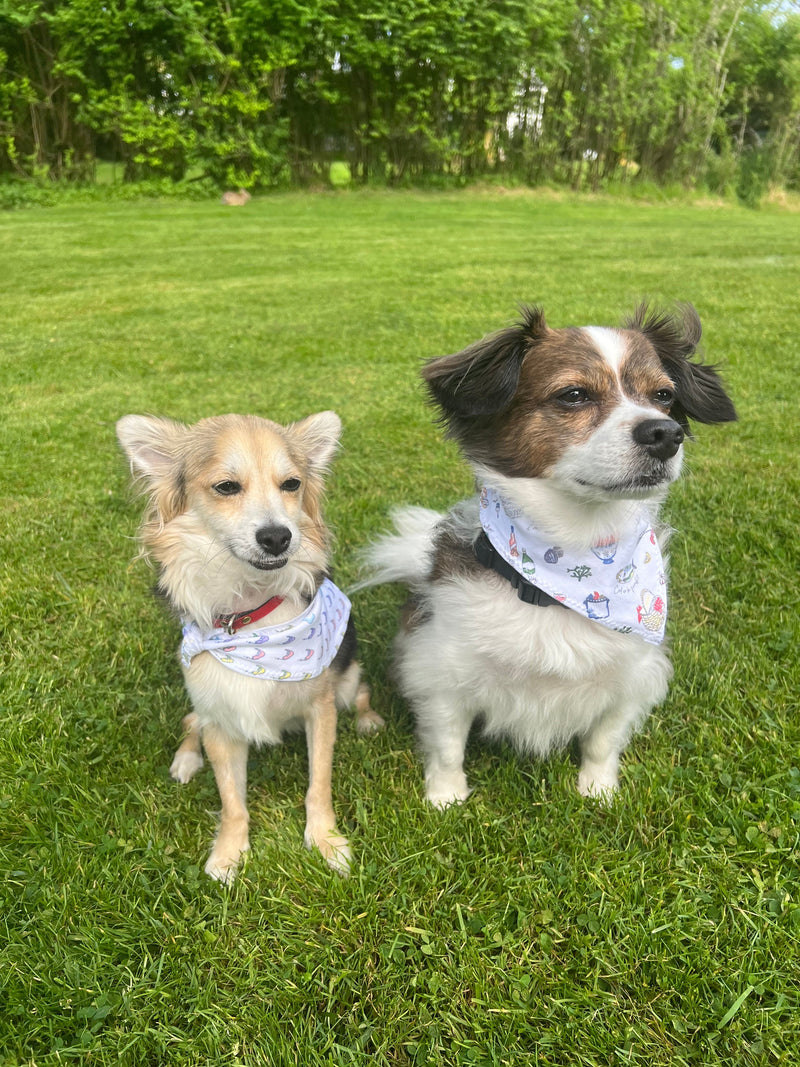 Sweet Nantucket Dreams Bandana