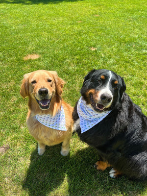 Sweet Nantucket Dreams™ Bandana