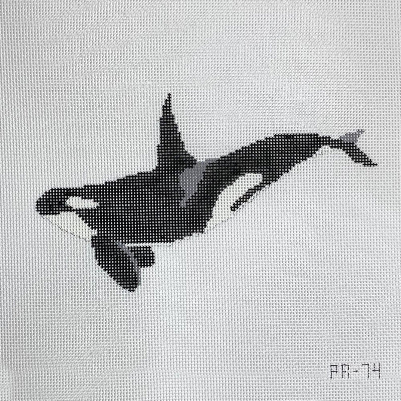 Orca Whale