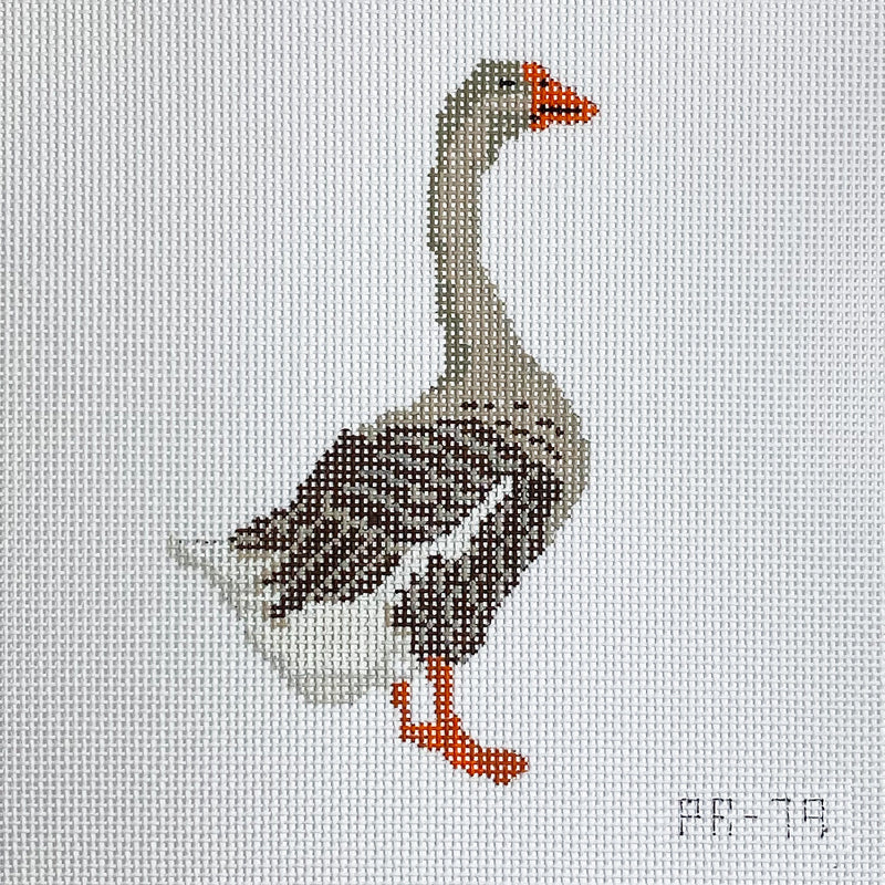 Toulouse Goose