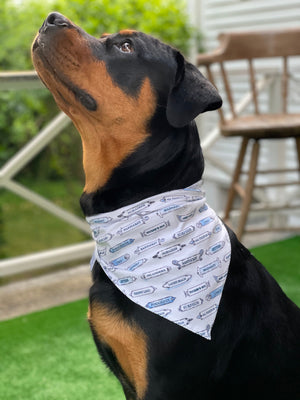 Pet Bandana Tuck'd In
