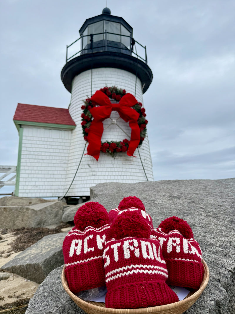 Hand Knit Merino Pom-Pom Hat