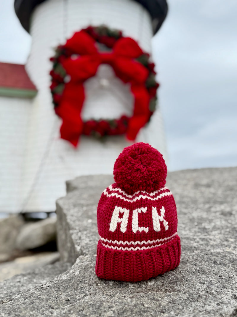 Hand Knit Merino Pom-Pom Hat