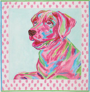 Megan Carn Labrador