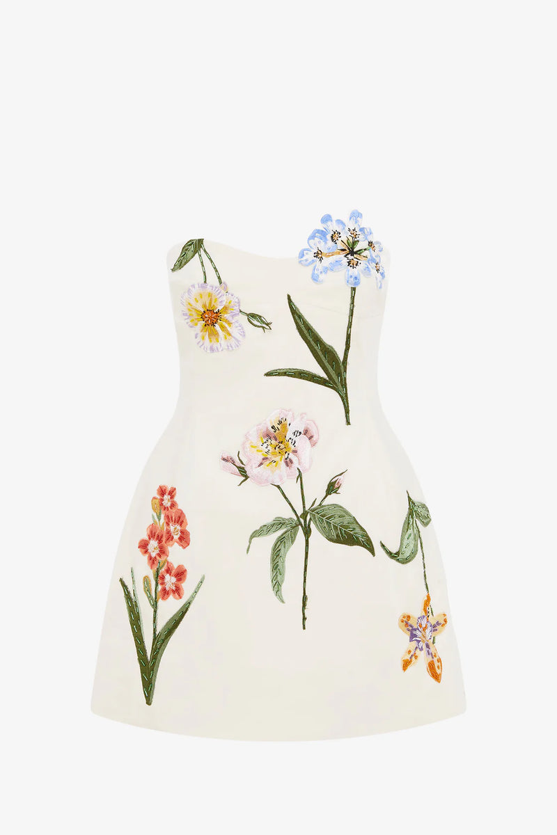 Rosario Velvet Mini Dress