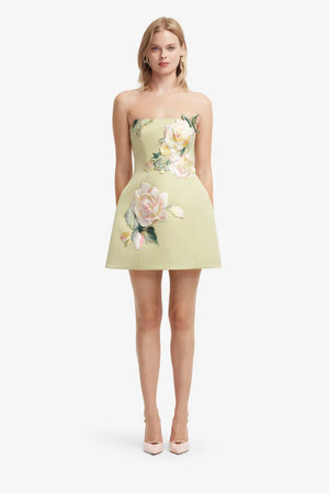 Roselle Embroidered Bustier Mini Dress