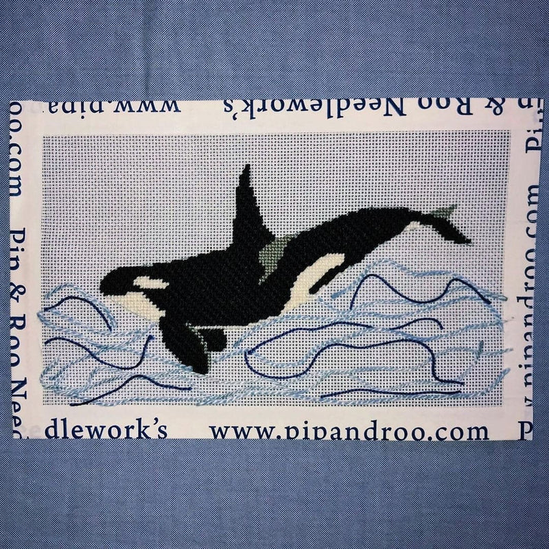 Orca Whale
