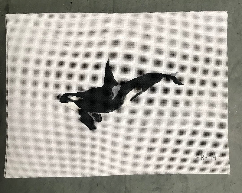 Orca Whale
