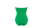 Cassiope Bustier Swimsuit