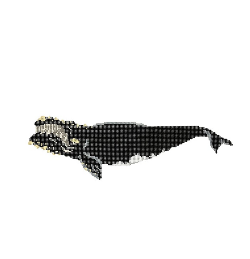 Atlantic Right Whale