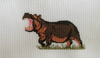 African Hippo