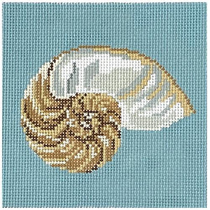 Nautilus Shell